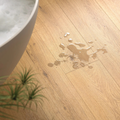 Dr. Padló Székesfehérvár