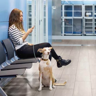 Vízálló laminált padló Orca Ice Flow K385 8mm/33/V4