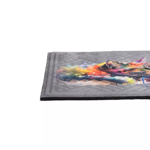 Lábtörlő Door Mat 45x75 Macskás
