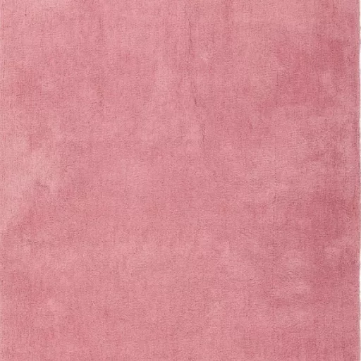 Szőnyeg Velvet Pink 120x170
